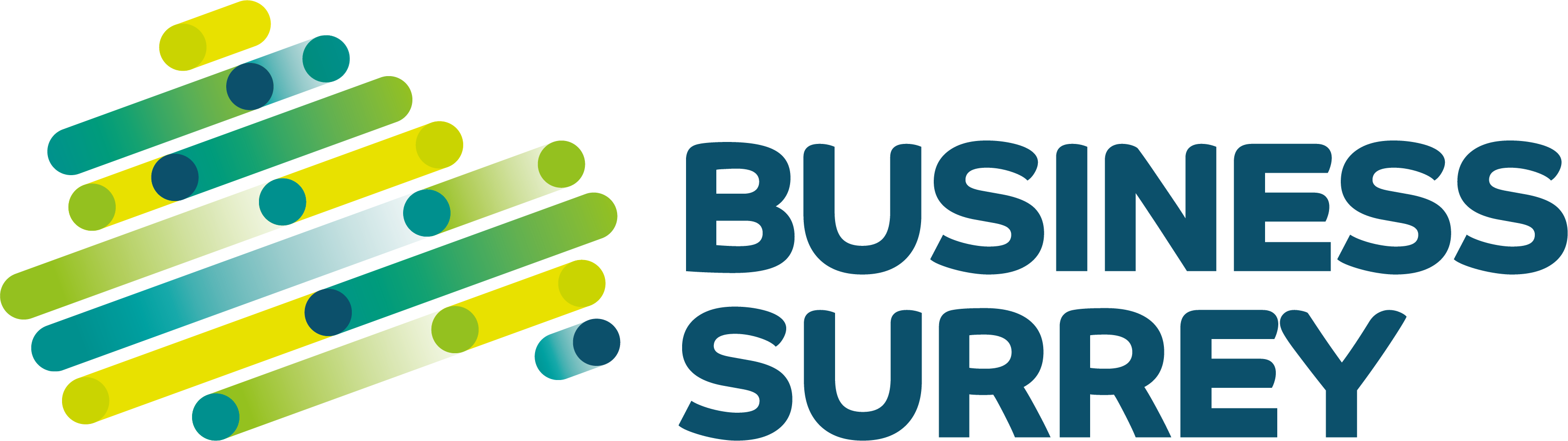 Business Surrey