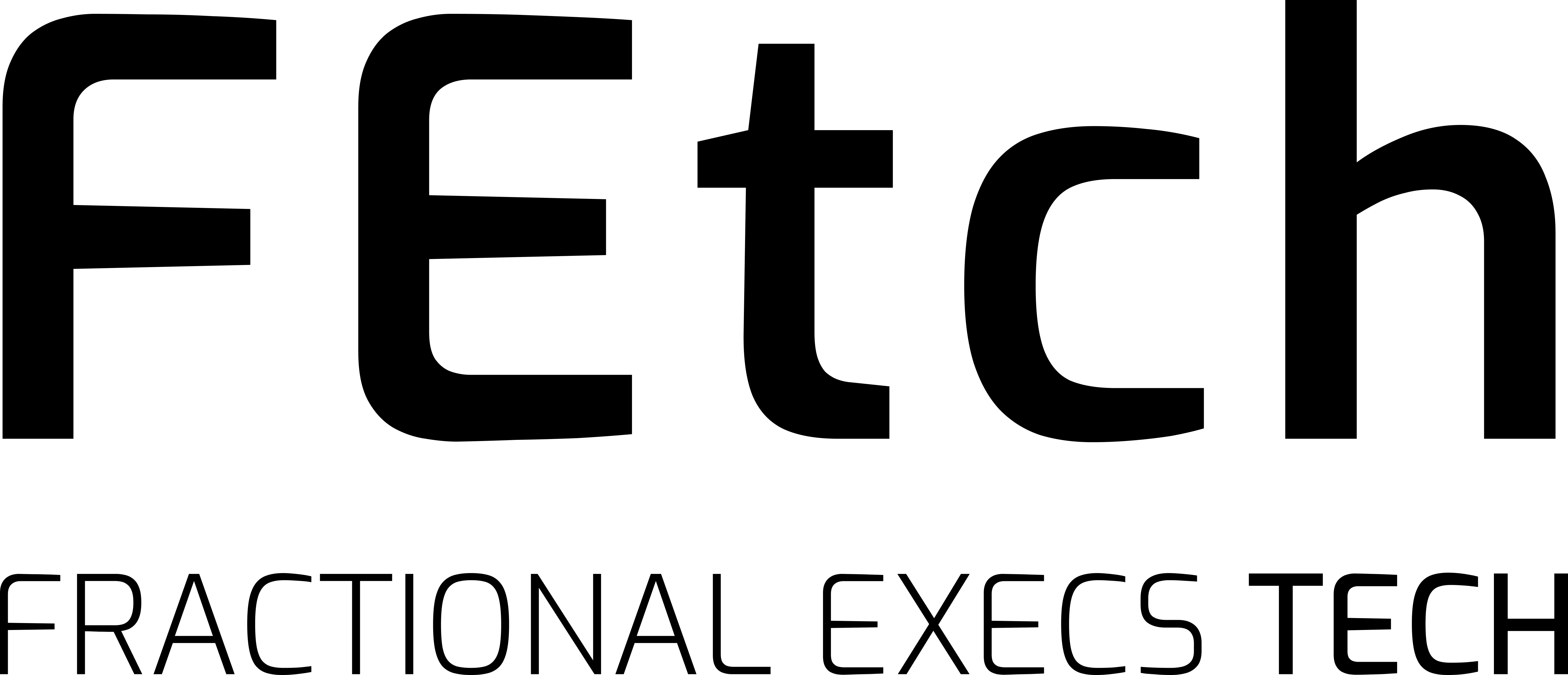 Fractional Execs Technologies (FEtch)
