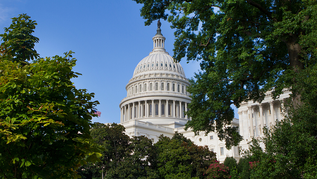 Washington DC