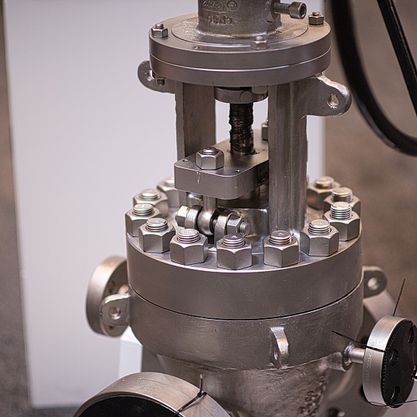 Dsc 4252 53706097250 o