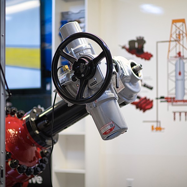 Dsc 4255 53705660701 o