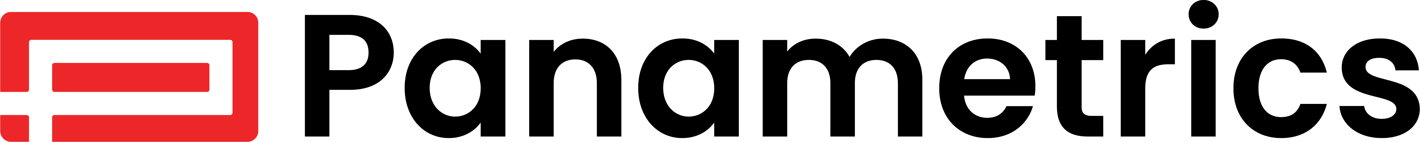 Panametrics