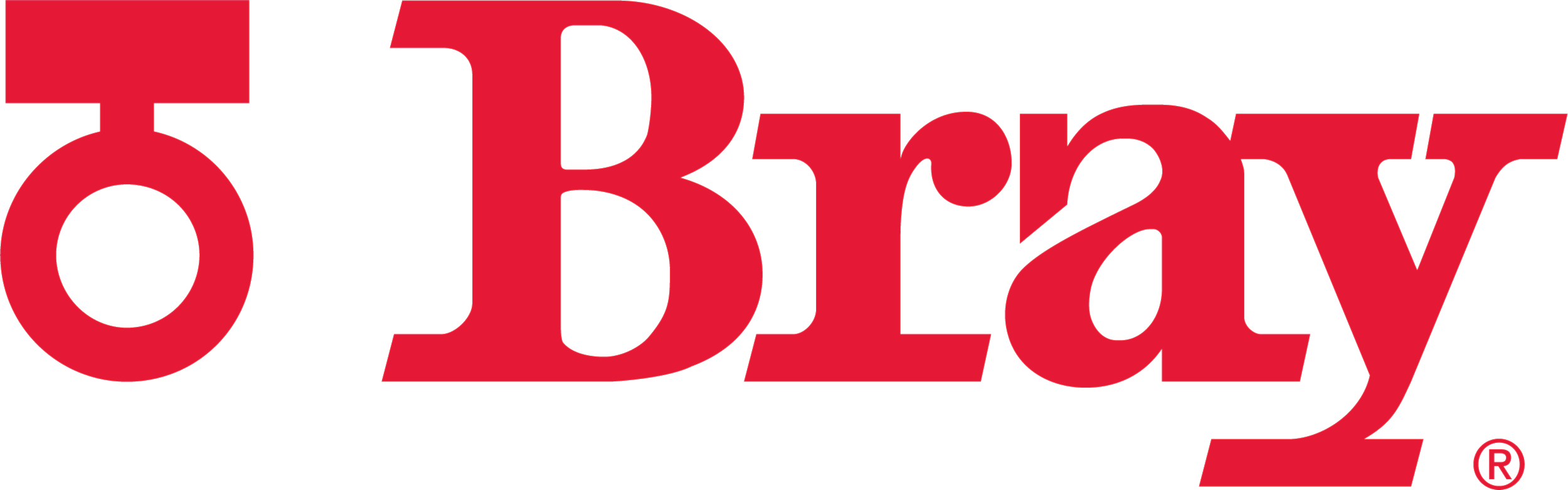Bray International