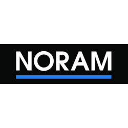 NORAM Engineering and Constructors Ltd