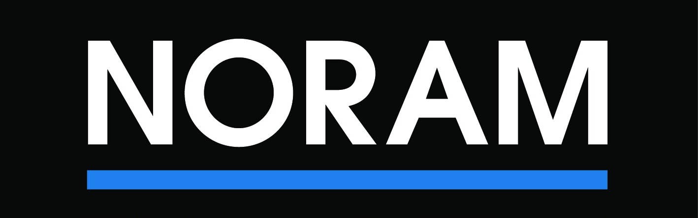 NORAM Engineering and Constructors Ltd
