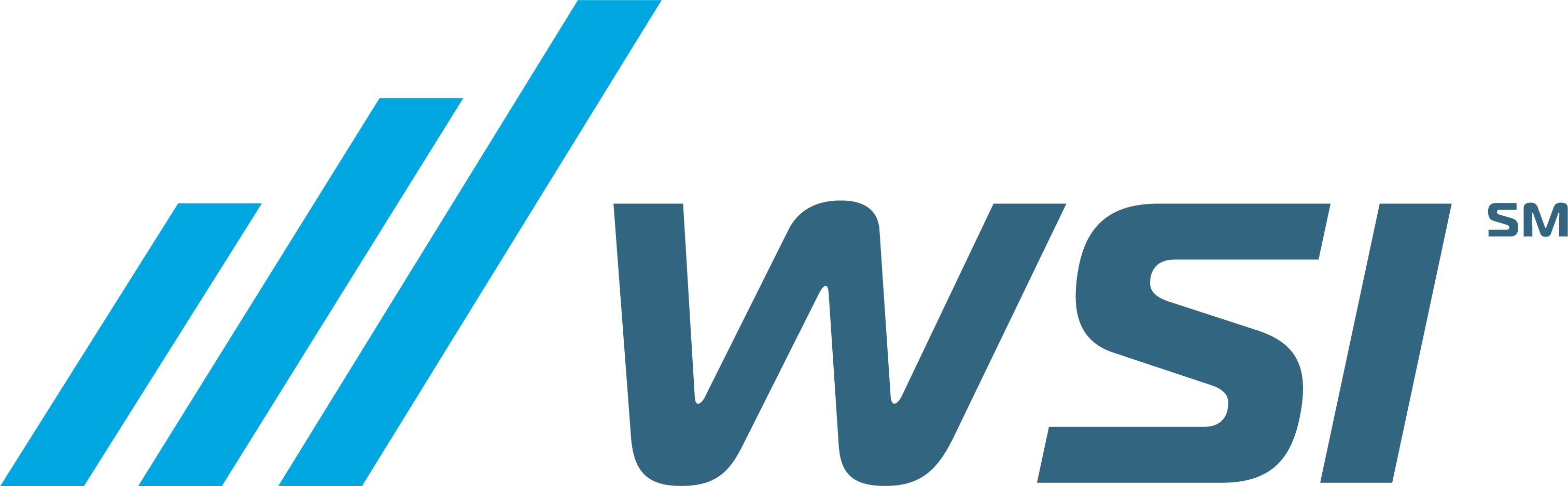 WSI Europe Sp. z o.o.