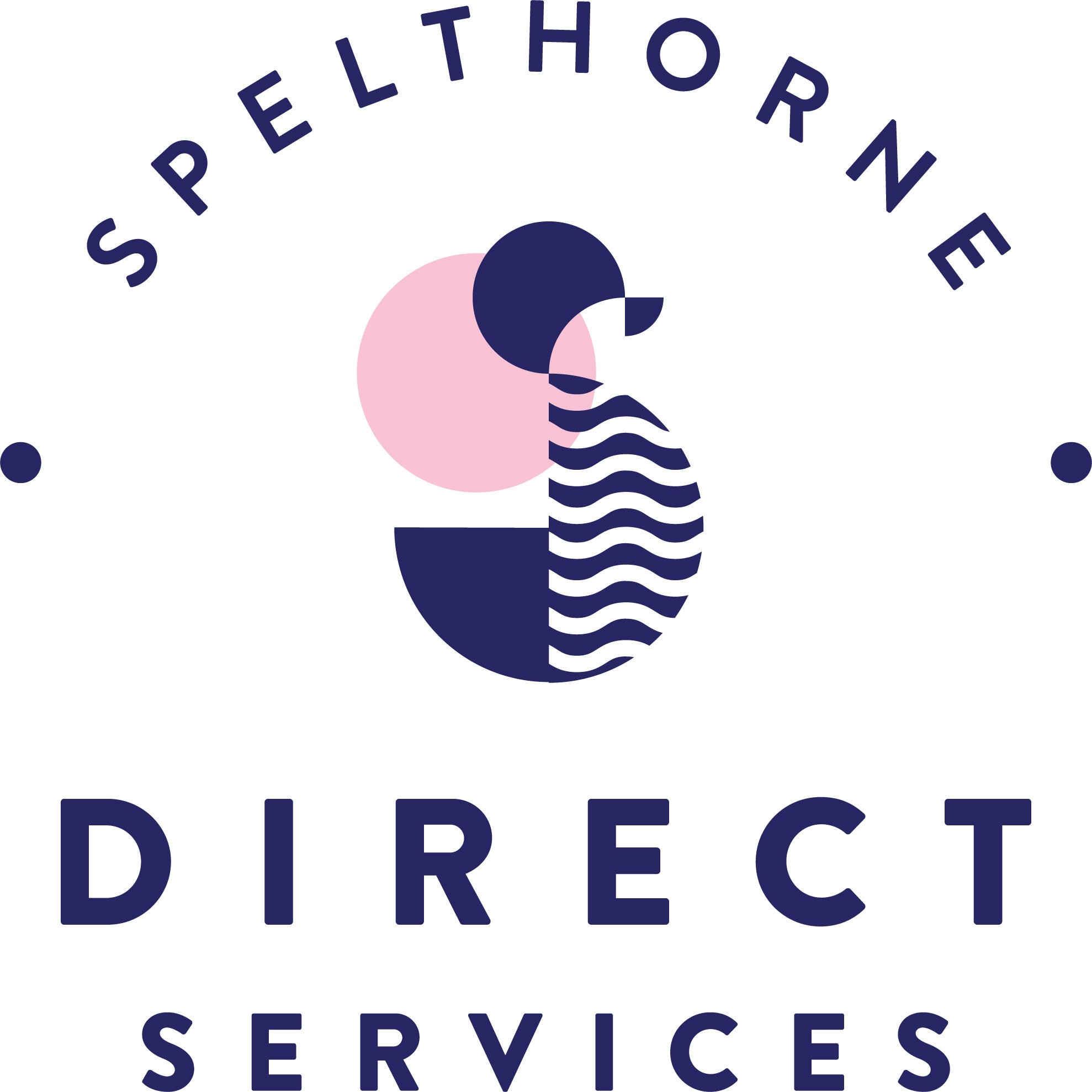 Spelthorne Direct Services