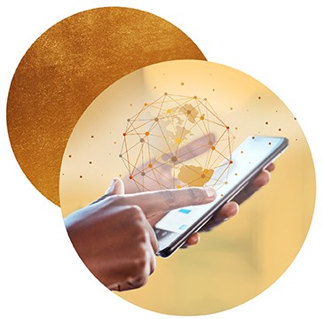 Digital Innovation IQA