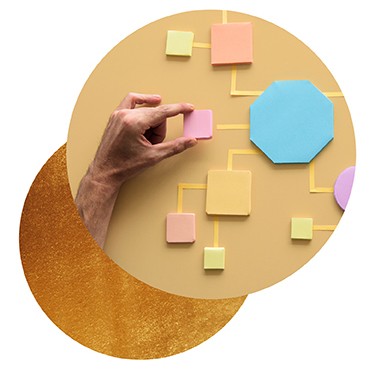 Quality Organisation of the Year IQA